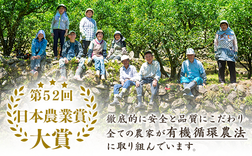 ゆずの村酒造甘口/500ml×2本 果実酒 柚子酒 リキュール