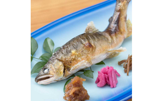 清流安田川の天然鮎（冷凍） 魚介 お取り寄せグルメ