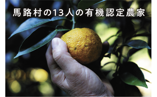 有機ゆずしぼり/360ml×2本 柚子果汁 調味料 ゆず