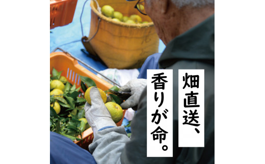 有機ゆずしぼり/360ml×2本 柚子果汁 調味料 ゆず