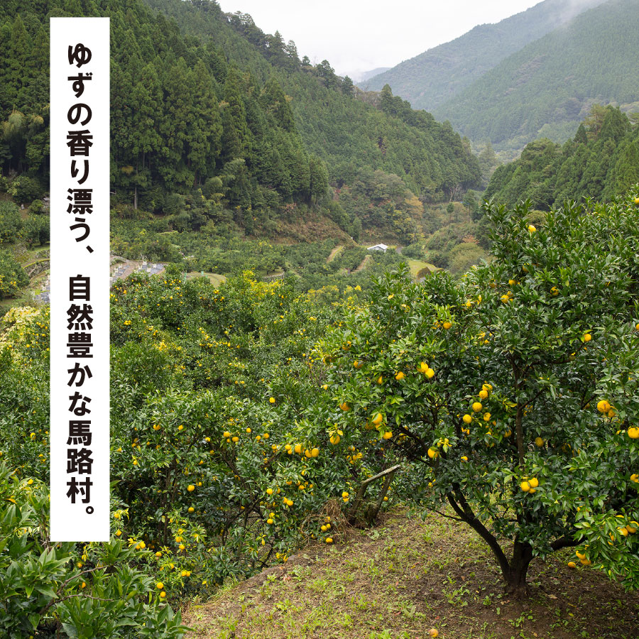 ゆずリキュール ゆずの村酒造・辛口（500ml×6本）　柚子酒 リキュール 果実酒 ゆず はちみつ お中元 お歳暮  宅飲み 家飲み ギフト 贈答用 のし 熨斗 高知県 馬路村【634】