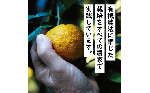 【年内発送】 馬路村ポン酢2本組（ゆずの村・1000人の村） 調味料 ゆず ぽん酢 ユズ ポン酢 鍋 柚子 お中元  ドレッシング 有機 オーガニック 無添加 水炊き ギフト 贈答用 のし お中元 お歳暮 産地直送 高知県馬路村【687】