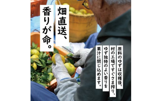 【年内発送】 馬路村ポン酢2本組（ゆずの村・1000人の村） 調味料 ゆず ぽん酢 ユズ ポン酢 鍋 柚子 お中元  ドレッシング 有機 オーガニック 無添加 水炊き ギフト 贈答用 のし お中元 お歳暮 産地直送 高知県馬路村【687】