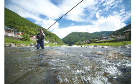 安田川 年間遊漁券（2026年） 高知県 馬路村 釣り 鮎
