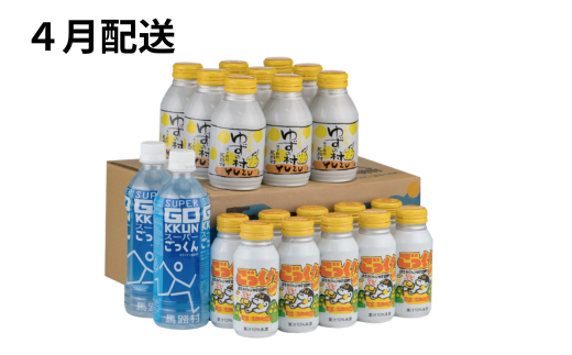 【定期便】ゆず製品定期便 （年6回コース） 調味料 ジュース