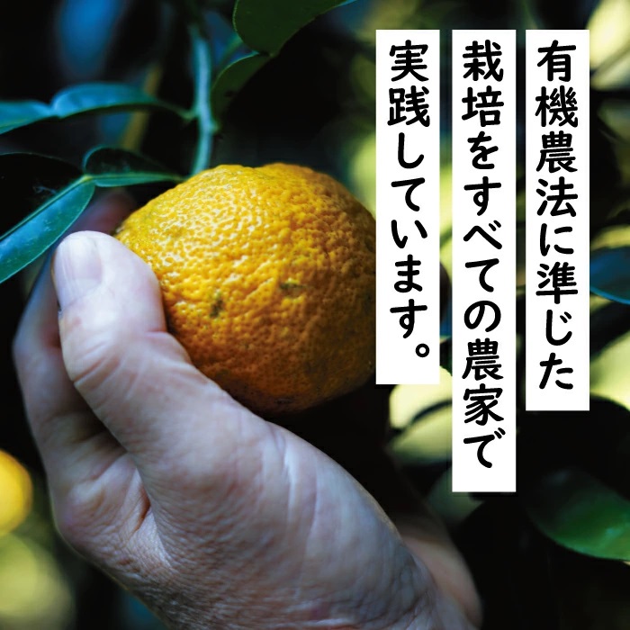 [具入りゆずすしの素　2合分×4個セット]  寿司の素 ちらし寿司 混ぜご飯
