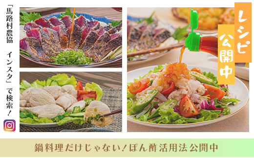 【のーがえいぽん酢/360ml×1本】ポン酢 ぽん酢 ゆずポン酢 ゆずぽん酢 だしポン酢 調味料 ユズ 柚子 出汁 ダシ 贈答用 ギフト お歳暮 お中元 母の日 父の日 のし 熨斗 有機 オーガニック ドレッシング 鍋 水炊き 高知県馬路村 【498】
