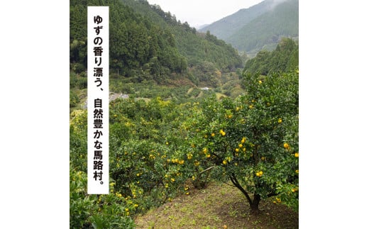  【組合長ぽん酢/360ml×1本】 ポン酢 ぽん酢 ゆずポン酢 ゆずぽん酢 調味料 ユズ 柚子 贈答用 ギフト お歳暮 お中元 母の日 父の日 敬老の日 のし 熨斗 有機 オーガニック ドレッシング 鍋 水炊き 高知県馬路村