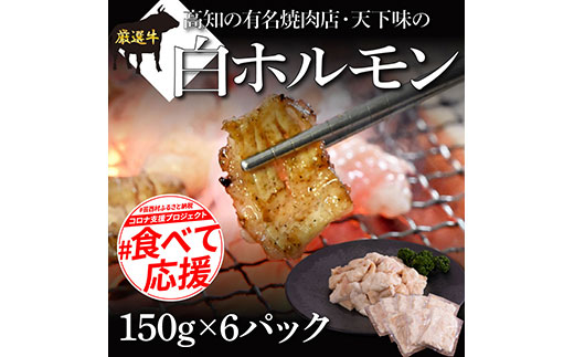 白ホルモン 天下味オリジナル本格塩ダレ漬け（150g×６パック） 高知市共通返礼品 人気 牛肉 お肉 小腸 焼き肉 タレ 焼肉 BBQ バーベキュー 冷凍 小分け おつまみ どんぶり お手軽 食べて応援