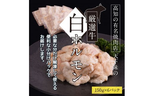 白ホルモン 天下味オリジナル本格塩ダレ漬け（150g×６パック） 高知市共通返礼品 人気 牛肉 お肉 小腸 焼き肉 タレ 焼肉 BBQ バーベキュー 冷凍 小分け おつまみ どんぶり お手軽 食べて応援