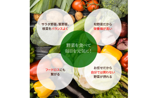 野菜セット（11‐13種類）《3カ月定期便》 栽培期間中農薬不使用！ 季節の野菜 定期コース 定期 無農薬 野菜 やさい 新鮮 自然 健康 セット 詰め合わせ 冷蔵 美味しい おいしい 食べ物 食材 秋 旬の味覚 ご当地 お取り寄せ 芸西村 30000円 故郷納税 返礼品