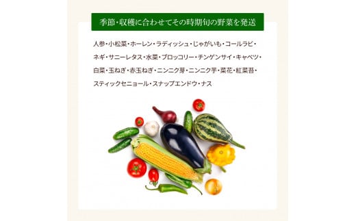 野菜詰め合わせ 農薬不使用 - 野菜