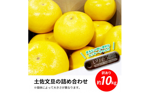 先行予約 土佐の柑橘 土佐文旦 10kg 詰め合わせ ちょっと訳あり （皮むき機）付き 文旦 ぶんたん ブンタン 柑橘 高知県 高知 返礼品 故郷納税 18000円 果物 くだもの フルーツ お取り寄せ 美味しい おいしい ご家庭用 ご自宅用 規格外サイズ 傷 訳あり