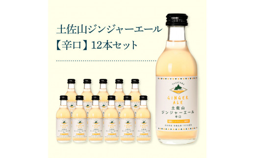 土佐山ジンジャーエール辛口12本セット ジンジャーエール 辛口 飲み物 セット お歳暮 御歳暮 ギフト ドリンク  大人 ジンジャー ジュース 炭酸飲料 お取り寄せ 美味しい おいしい 贈り物 故郷納税 19000円 ふるさとのうぜい 高知県産 生姜 芸西村 返礼品