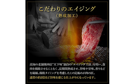 天下味 エイジング工法 熟成肉 土佐和牛 特選ヒレ 牛 サイコロステーキ 500g エイジングビーフ ヒレ フィレ 国産 肉 牛肉 和牛 人気老舗焼肉店 冷凍 新鮮 真空パック 高級 お祝い 高知 高知県 芸西村 故郷納税 72000円 返礼品 贈り物 贈答 ギフト