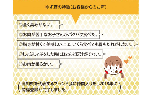 【高知のブランド豚/ゆず豚】厳選部位の焼肉セット（約1.4kg）- 焼肉用 肩ロース500g バラ500g ソーセージ5本入り×2P BBQ やきにく 焼き肉 ソーセージ 豚肉 国産 詰め合わせ セット ギフト・熨斗対応可 贈答