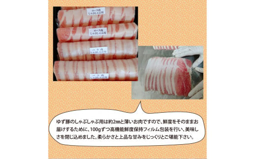 【高知のブランド豚/ゆず豚】しゃぶしゃぶセット500g（約2人前）- 豚肉 しゃぶしゃぶ 豚しゃぶ 豚バラ 豚バラ ロース 豚バラスライス 国産 肉 ギフト・熨斗対応可 贈答