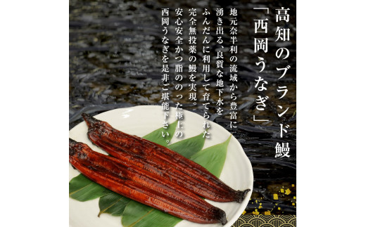 本気の高知ブランド鰻「西岡うなぎ」 - 超特大サイズ - うなぎの蒲焼き2尾セット（約440g）タレ山椒付き ＃食べて応援