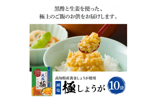 減塩味付け極しょうが110g×10袋 - 減塩 しょうが ショウガ 生姜 生ふりかけ 坂田信夫商店 黄金しょうが 高知 国産 料理 おかず 調味料 ご飯のお供 混ぜご飯 刻み生姜 健康 話題