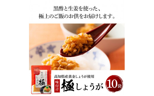 味付け極しょうが110g×10袋 - しょうが ショウガ 生姜 生ふりかけ 坂田信夫商店 黄金しょうが 高知 国産 料理 おかず 調味料 ご飯のお供 混ぜご飯 刻み生姜 話題