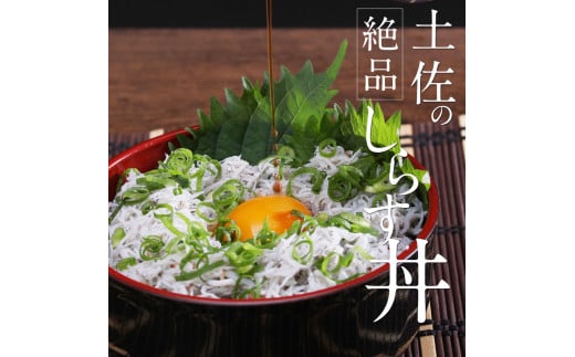 〈12ヶ月定期便〉訳あり 釜揚げシラス 800g×2個 定期便 定期コース 12ヶ月 しらす シラス 釜揚げ 新鮮 塩分控えめ 離乳食 わけあり ワケあり 不揃い しらす丼 海鮮丼 お茶漬け