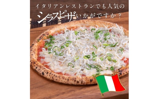 〈6ヶ月定期便〉訳あり 釜揚げシラス 800g×2個 定期便 定期コース 6ヶ月 しらす シラス 釜揚げ 新鮮 塩分控えめ 離乳食 わけあり ワケあり 不揃い しらす丼 海鮮丼 お茶漬け