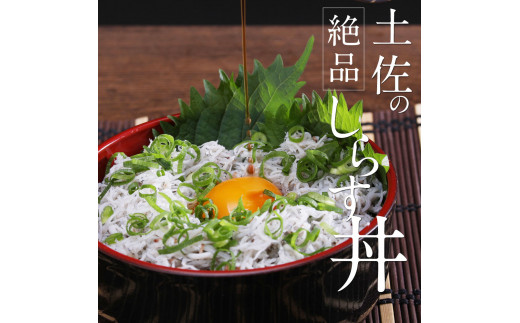 〈3ヶ月定期便〉訳あり 釜揚げシラス 800g×2個 定期便 定期コース 3ヶ月 しらす シラス 釜揚げ 新鮮 塩分控えめ 離乳食 わけあり ワケあり 不揃い しらす丼 海鮮丼 お茶漬け