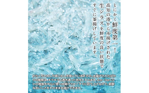 〈6ヶ月定期便〉訳あり 釜揚げシラス 500g×2個 定期便 定期コース 6ヶ月 しらす シラス 釜揚げ 新鮮 塩分控えめ 離乳食 わけあり ワケあり 不揃い しらす丼 海鮮丼 お茶漬け