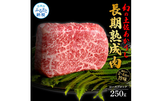 天下味 エイジング工法 熟成肉 土佐あかうし 特選ロースブロック 250g エイジングビーフ 国産 あか牛 赤牛 牛肉 和牛 冷凍配送 真空パック お祝い 高知 芸西村 贈り物 贈答 ギフト