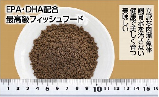 らんちう貴族D 200g 成魚用