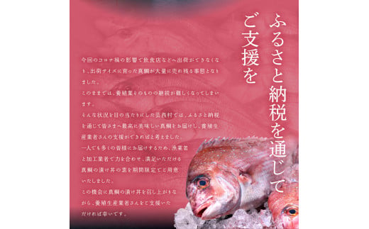 「真鯛の漬け丼の素」1食80g×20P《迷子の真鯛を食べて応援 養殖生産業者応援プロジェクト》