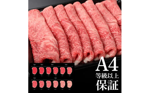 土佐和牛霜降りスライス(うで)450g 牛肉 肉 お肉 和牛 国産 牛 ウデ肉 スライス A5 最高級 特選 霜降り 国産 豪華 贅沢 美味しい おいしい 柔らかい 肉汁 すき焼き しゃぶしゃぶ