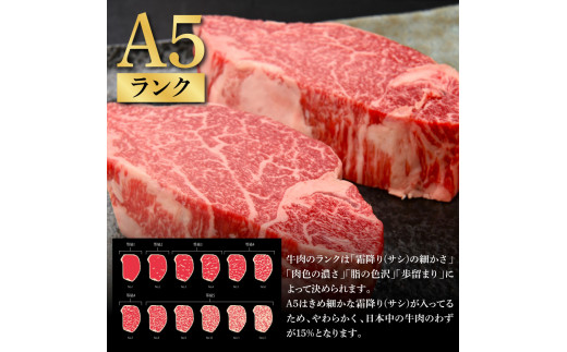 土佐和牛特選ヒレステーキ100g×2枚セット 200g 牛肉 肉 お肉 和牛 国産 牛 ヒレ ステーキ A5 最高級 特選 霜降り 国産 希少 豪華 贅沢 美味しい おいしい 柔らかい 肉汁