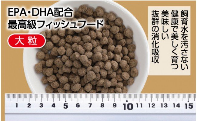 錦鯉貴族 F 1kg 浮遊性 ＜最高級 フィッシュフード EPA・DHA配合 大粒 魚 餌＞【餌 えさ エサ】【観賞魚 餌やり】【水槽/熱帯魚/観賞魚/飼育】【生体】【アクアリウム/あくありうむ】