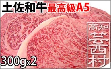 肉 牛 ステーキ土佐 和牛 A5 特選 サーロイン リブロース ステーキ300g 2枚セット牛肉 ステーキ肉 A5 最高級ランク Steak Beef 特産品 高知県産 ギフト Saneyam 新 高知市共通返礼品 お歳暮 御歳暮 Jalふるさと納税 Jalのマイルがたまるふるさと納税サイト