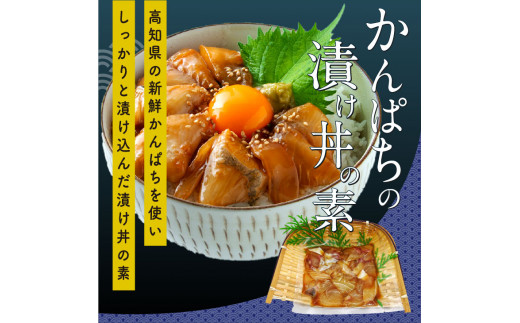 海鮮 漬け丼 3種類 食べ比べセット 真鯛 ぶり かんぱち 支援 冷凍 保存食 海鮮 小分け パック 漬け 本場 高知 海鮮丼 パパッと 簡単 惣菜 そうざい 一人暮らし 人気 6000円 〈高知市共通返礼品〉