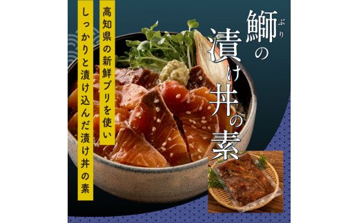 海鮮 漬け丼 3種類 食べ比べセット 真鯛 ぶり かんぱち 支援 冷凍 保存食 海鮮 小分け パック 漬け 本場 高知 海鮮丼 パパッと 簡単 惣菜 そうざい 一人暮らし 人気 6000円 〈高知市共通返礼品〉