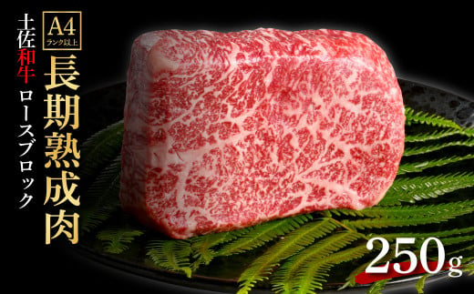 天下味 エイジング工法 熟成肉 土佐和牛 特選 ロースブロック 250g エイジングビーフ 国産 牛肉 土佐 和牛 冷凍配送 真空パック お祝い 高知 芸西村 贈り物 贈答 ギフト