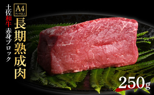 天下味 エイジング工法 熟成肉 土佐和牛 特選 赤身ブロック 250g エイジングビーフ 国産 牛肉 土佐 和牛 冷凍配送 真空パック お祝い 高知 芸西村 贈り物 贈答 ギフト