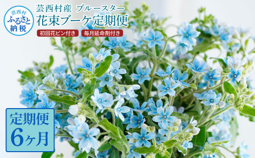 《6ヵ月定期便》 ブルースター 花束 初回花瓶付 定期便 定期コース 全6回 延命剤付き ラッピング 花びん 生花 花束 ブーケ 花 お花 おすすめ 可愛い キレイ おしゃれ 自宅 職場 ギフト