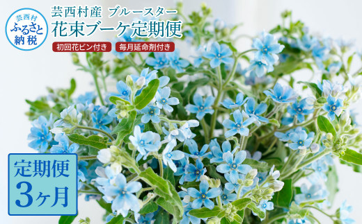 《3ヵ月定期便》 ブルースター 花束 初回花瓶付 定期便 定期コース 全3回 延命剤付き ラッピング 花びん 生花 花束 ブーケ 花 お花 おすすめ 可愛い キレイ おしゃれ 自宅 職場 ギフト