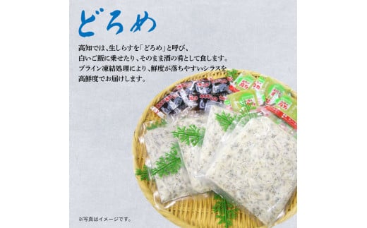 生しらす 500g(100g×5P) タレ付 土佐しらぎく 純米酒 純米吟醸酒 各1合(180ml)ずつ しらす 日本酒 おつまみ 肴 蔵來 KURARA くらら お酒 日本酒 パウチパック どろめ