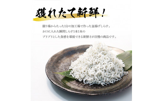 《3ヶ月定期便》高知県産釜揚げしらす×8パック 定期便 定期コース 3回 簡易梱包 小分け 国産 釜揚げ シラス丼 海鮮丼 ゆず付 お茶漬け 軍艦巻き 手巻き寿司 冷凍配送 おかず お取り寄せ