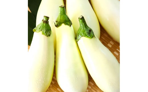 å
è¡äºçŽ çœãã¹6æ¬ - ãªã èå 1æ¬180gä»¥äž éè æ°é®® çŸå³ãã ã°ã©ã¿ã³ ã·ãã¥ãŒ ã©ã¿ãã¥ã€ãŠ æŽé£ åé£ æç ãåãå¯ã ãµãããšã®ããã æ
é·çŽçš 6000å è¿ç€Œå é«ç¥ç é«ç¥