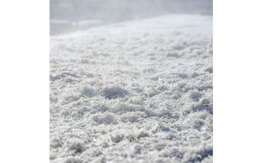 釜あげしらす 1kg 1キロ タレ付き 200g×5袋 シラス 小分け おじゃこ ちりめんじゃこ ふわふわ 国産 釜揚げ しらす丼 海鮮丼 ごはん ご飯 おにぎり おかず おつまみ お取り寄せ 美味しい