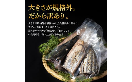 訳あり カツオたたき 1.5kg 1.5キロ 土佐しらぎく 純米酒 純米吟醸酒 各1合(180ml)ずつ 日本酒 蔵來 藁焼き かつおのタタキ 海鮮 規格外 KURARA くらら お酒 パウチパック