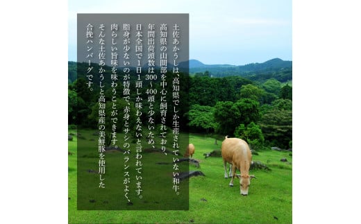 ＜高騰に伴い2025年1月1日以降、寄附額改定予定＞ 人気惣菜 数量限定 牛肉 豚肉 創業50年老舗レストランの幻の和牛あかうしハンバーグ130g×40コ（ソース無し）故郷納税 焼くだけ 溢れる肉汁 土佐あか牛 ハンバーグ 小分け 緊急支援品 60000