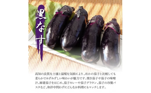 é£ã¹æ¯ã¹ïŒçœãšé»ã®ãã¹ã»ãã é»ãã¹8æ¬ çœãã¹4æ¬ ãªã èå é»ãªã çœãªã çŒãèå ç
®æµžã æŒ¬ç© æµ
挬ã å³åæ± ããã éè åžžæž© é
é åœç£