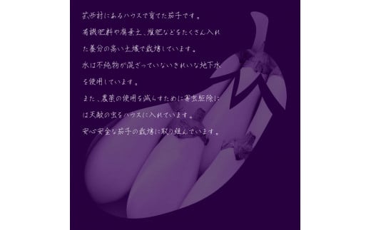 å
è¡äºçŽ çœãã¹6æ¬ - ãªã èå 1æ¬180gä»¥äž éè æ°é®® çŸå³ãã ã°ã©ã¿ã³ ã·ãã¥ãŒ ã©ã¿ãã¥ã€ãŠ æŽé£ åé£ æç ãåãå¯ã ãµãããšã®ããã æ
é·çŽçš 6000å è¿ç€Œå é«ç¥ç é«ç¥