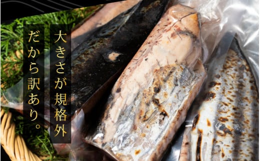 【通常発送】訳あり「カツオたたき3.0ｋｇ」